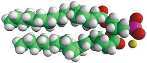18:0-18:1 PA 1-stearoyl-2-oleoyl-sn-glycero-3-phosphate (sodium salt), chloroform