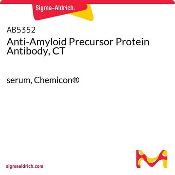 Anti-Amyloid Precursor Protein Antibody, CT serum, Chemicon&#174;