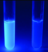 ColiComplete BioControl, For detection Total Coliforms and E. coli in food products