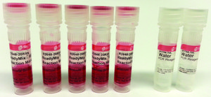 REDTaq® ReadyMix™ PCR反応ミックス Complete PCR reagent with standard Taq DNA Polymerase and inert dye