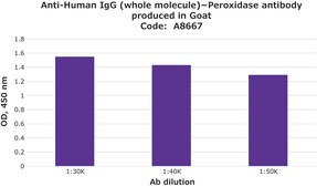 Anti-Human IgG (whole molecule)−Peroxidase antibody produced in goat IgG fraction of antiserum, buffered aqueous solution