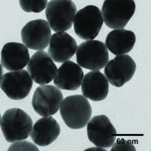 Silver nanospheres 60 nm avg. part. size, 0.02 mg/mL in water, BPEI functionalized
