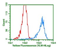 Anti-Ubiquitin Antibody, Lys48-Specific, clone Apu2, rabbit monoclonal clone Apu2, from rabbit