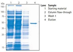 BugBuster® Ni-NTA His•Bind® Purification Kit