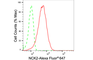 Anti NCK Adaptor Protein 2 Antibody, clone 24GB105, Rabbit Monoclonal clone 24GB105, recombinant rabbit monoclonal, expressed in HEK293 cells