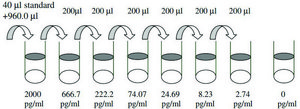 Mouse IL-1 β ELISA Kit for serum, plasma and cell culture supernatant