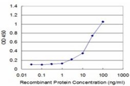 Monoclonal Anti-RPL7, (C-terminal) antibody produced in mouse clone 2E10, purified immunoglobulin, buffered aqueous solution