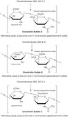 Chondroitinase ABC from Proteus vulgaris lyophilized powder, 0.3-3 units/mg solid