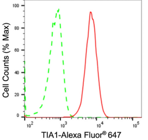 KD-Validated Anti TIA1 Antibody, clone 24GB2175, Rabbit Monoclonal clone 24GB2175, recombinant rabbit monoclonal, expressed in HEK293 cells