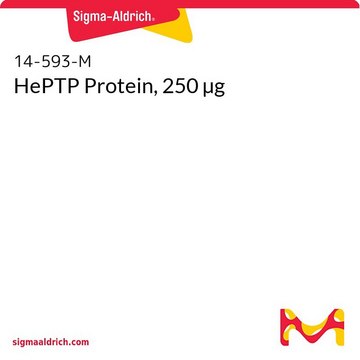 HePTP Protein, 250 µg