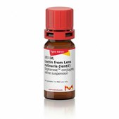 Lectin from Lens culinaris (lentil) Sepharose™ conjugate, saline suspension