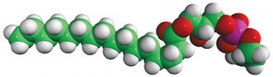 16:0 Lyso PE Avanti Research™ - A Croda Brand, powder