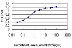 Monoclonal Anti-RNF127 antibody produced in mouse clone 1D5, purified immunoglobulin, buffered aqueous solution