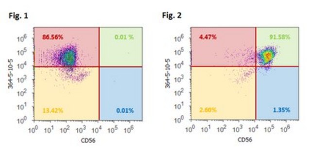 Anti-Nucleolin Antibody, clone 364-5-10-5 clone 364-5-10-5, from mouse