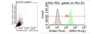Anti-SLP76 Antibody, Alexa Fluor™ 488 Conjugate from rabbit, ALEXA FLUOR™ 488