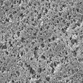 Nylon Membrane Filter, 1.2 μm Pore Size Millipore, filter diam. 25 mm, hydrophilic