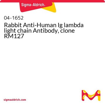 Rabbit Anti-Human Ig lambda light chain Antibody, clone RM127