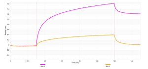 Anti-GRP78 Antibody, clone 1N6 ZooMAb® Rabbit Monoclonal recombinant, expressed in HEK 293 cells