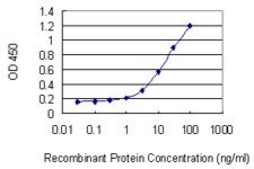 Monoclonal Anti-RNF126 antibody produced in mouse clone 3F11, purified immunoglobulin, buffered aqueous solution