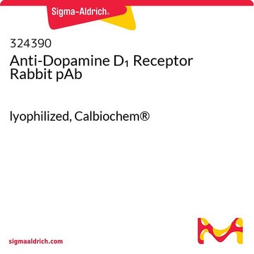 Anti-Dopamine D1 Receptor Rabbit pAb lyophilized, Calbiochem&#174;