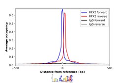 Anti-RFX2 antibody produced in rabbit Prestige Antibodies® Powered by Atlas Antibodies, affinity isolated antibody, buffered aqueous glycerol solution