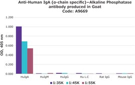 Anti-Human IgA (α-chain specific)−Alkaline Phosphatase antibody produced in goat affinity isolated antibody, buffered aqueous solution