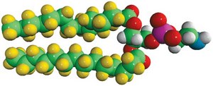 14:0 PE-d54 Avanti Research™ - A Croda Brand 860371P, powder