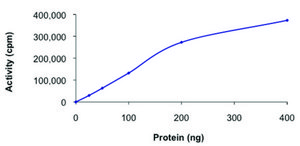 PKN2/PRK2, active, GST tagged human PRECISIO® Kinase, recombinant, expressed in baculovirus infected Sf9 cells, ≥70% (SDS-PAGE), buffered aqueous glycerol solution