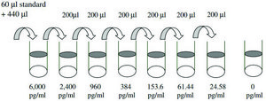 Human CD200 ELISA Kit for serum, plasma, cell culture supernatant and urine