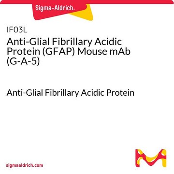 Anti-Glial Fibrillary Acidic Protein (GFAP) Mouse mAb (G-A-5) Anti-Glial Fibrillary Acidic Protein