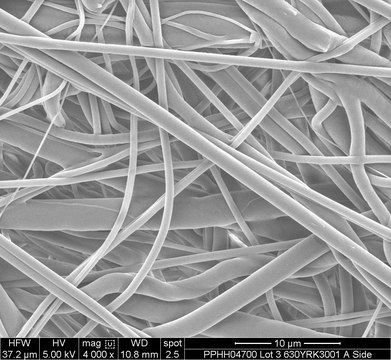 Polypropylene membrane filter 0.45 &#181;m, 13 mm, hydrophilic, polypropylene