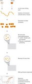 Magna ChIP® HT96 Chromatin Immunoprecipitation Kit The Magna ChIP HT96 kit allows the performance of chromatin Immunoprecipitation in a 96-well plate-based format.