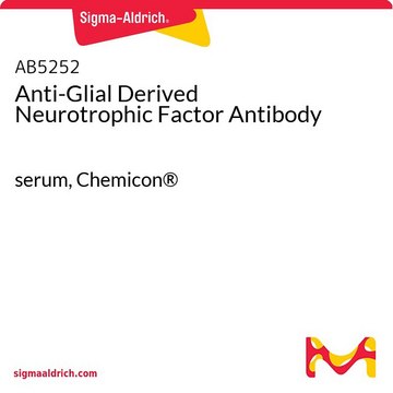 Anti-Glial Derived Neurotrophic Factor Antibody serum, Chemicon&#174;