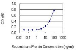 Monoclonal Anti-THG1L antibody produced in mouse clone 4F11, purified immunoglobulin, buffered aqueous solution