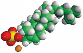 cholesterol sulfate Avanti Research™ - A Croda Brand 700016P