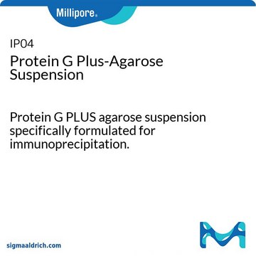 Protein G Plus-Agarose Suspension Protein G PLUS agarose suspension specifically formulated for immunoprecipitation.