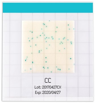 MC-Media Pad® CC for coliforms, ready-to-use, pack of 4 × 25 pieces