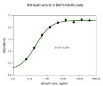 Leptin from rat ≥97% (SDS-PAGE), recombinant, expressed in E. coli, lyophilized powder