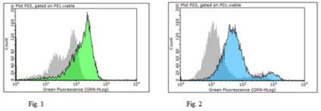 Anti-hERV-WL Antibody serum, from rabbit