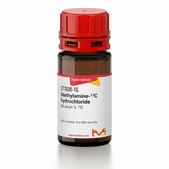 Methylamine-13C hydrochloride 99 atom % 13C