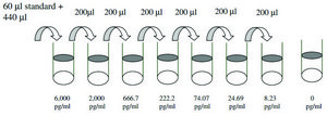 Human PECAM-1 ELISA Kit for serum, plasma, cell culture supernatants and urine
