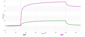 Anti-CXCR5 Antibody, clone 1G22 ZooMAb® Rabbit Monoclonal recombinant, expressed in HEK 293 cells