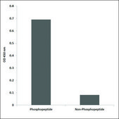 Anti-phospho-Catenin-β (pTyr654) antibody produced in rabbit affinity isolated antibody