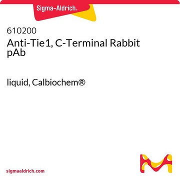 Anti-Tie1, C-Terminal Rabbit pAb liquid, Calbiochem&#174;