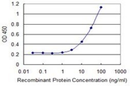 Monoclonal Anti-MARCH2 antibody produced in mouse clone 7F3, purified immunoglobulin, buffered aqueous solution