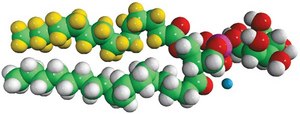 16:0-d31-18:1 PI 1-palmitoyl-d31-2-oleoyl-sn-glycero-3-phosphoinositol (ammonium salt), powder