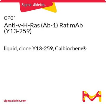 Anti-v-H-Ras (Ab-1) Rat mAb (Y13-259) liquid, clone Y13-259, Calbiochem&#174;