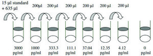 Human Angiopoietin-2 ELISA Kit for serum, plasma, cell culture supernatant and urine