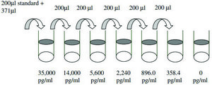 Human FGF-9 ELISA Kit for serum, plasma, cell culture supernatant and urine