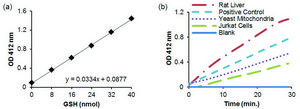 Citrate Synthase Activity Assay Kit Sufficient for 100 Colorimetric tests
